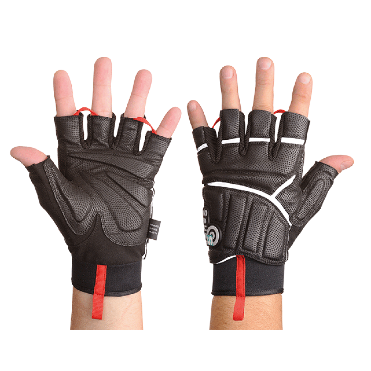 Premium Open Glove (SAUER)
